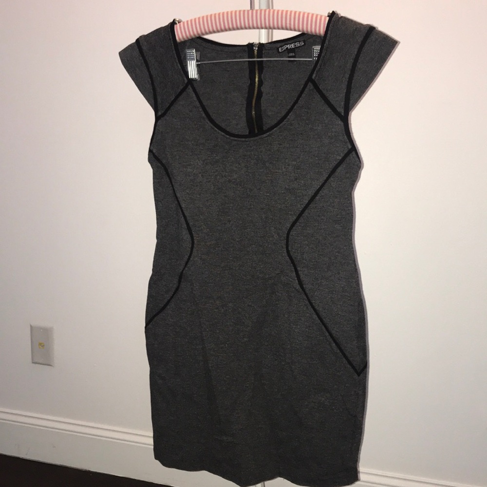 Express Dress size 6